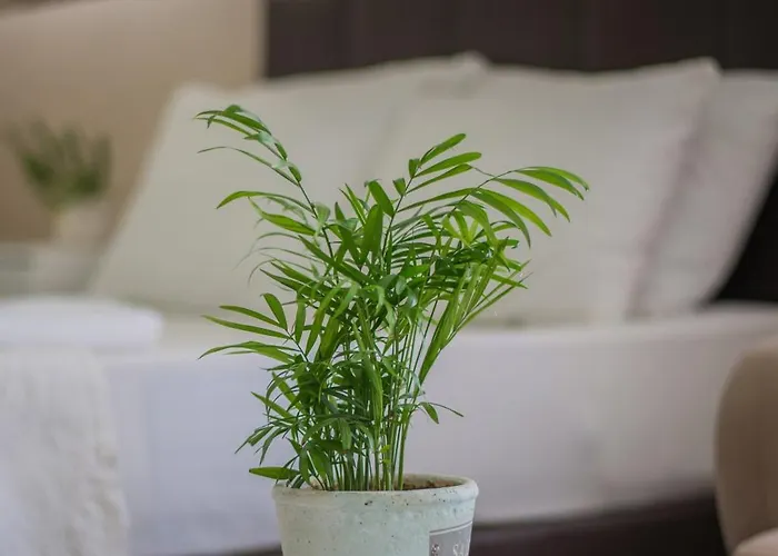 Apartmanhotel Huzur Royal 3*